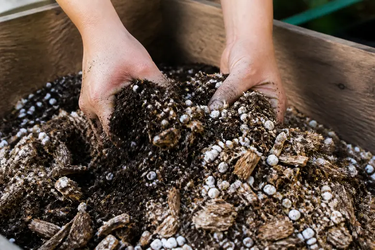 Mains mélangeant les ingrédients de la composition du terreau comme le compost et la perlite