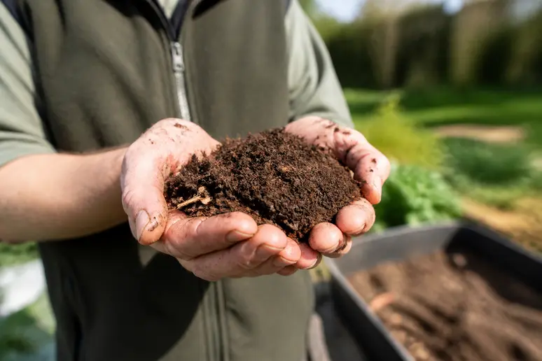 Jardinier inspectant un terreau sans tourbe à base de fibres végétales et de compost