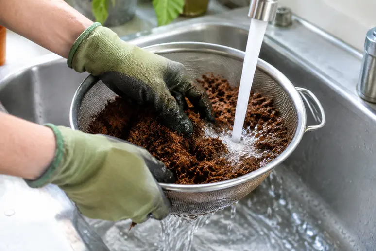 Mains gantées rinçant de la fibre de coco compressée sous l'eau dans un évier