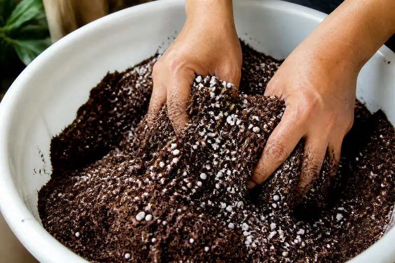 Mains mélangeant de la perlite blanche dans le terreau d'un pot