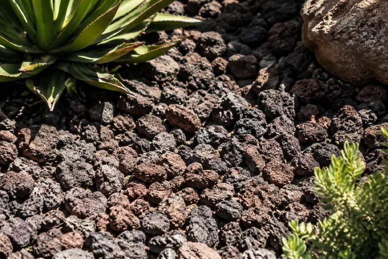 Couche de pierre volcanique trop mince exposée en plein soleil au jardin