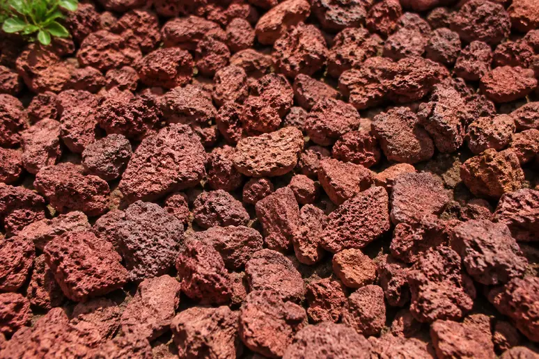 Gros plan sur la pouzzolane rouge poreuse utilisée comme paillage minéral au jardin