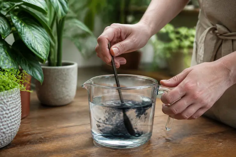 Dilution de savon noir liquide dans un récipient d'eau pour traiter les moucherons de terreau