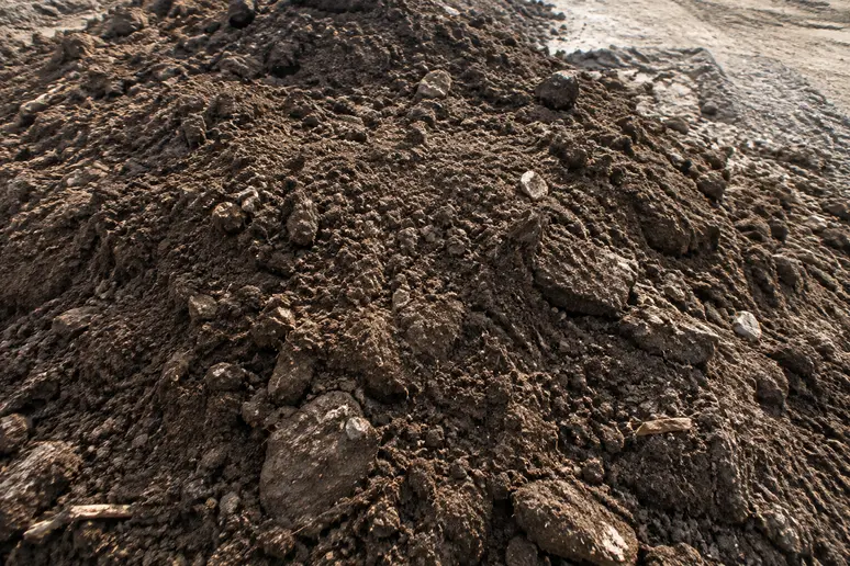 Tas de terre végétale brute en vrac déposé sur le sol d'un chantier avant étalement.