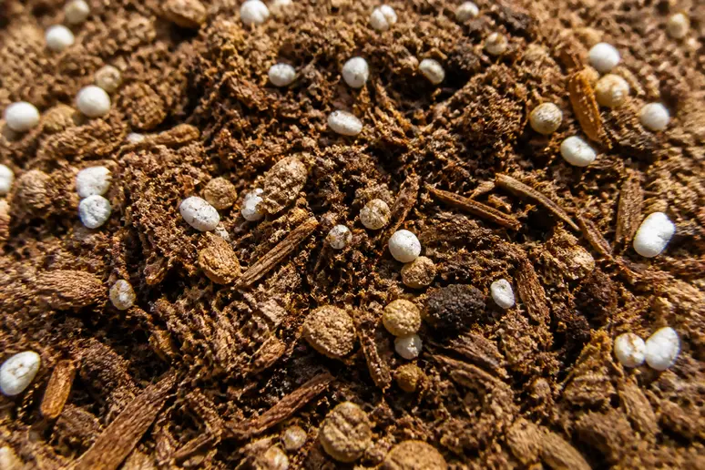 Gros plan sur la texture granuleuse et la structure organique d'un terreau de semis normé