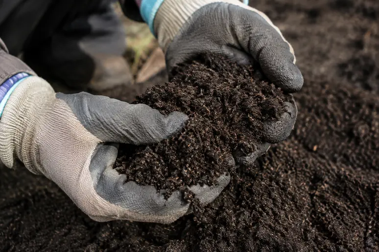 Mains gantées manipulant une terre végétale criblée de qualité pour jardin