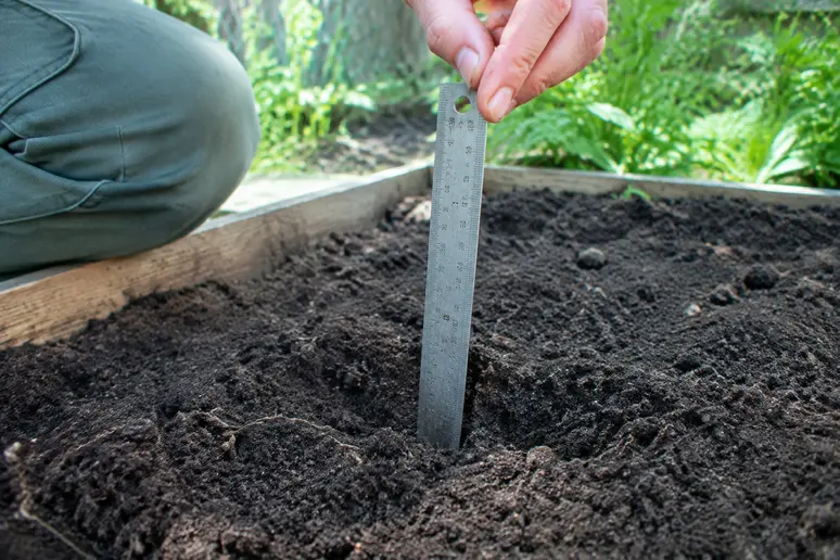 Mesure de l'épaisseur de terreau sur une zone de plantation pour calcul de volume