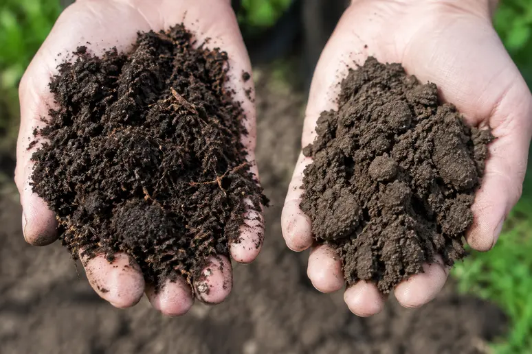 Mains comparant la texture aérienne d'un terreau léger et la densité d'une terre végétale