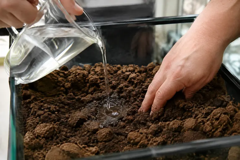 Humidification progressive de l'excavator substrat avant le modelage du décor du terrarium