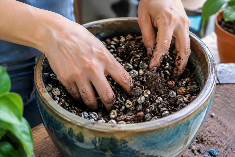Mains mélangeant un substrat minéral avec du terreau dans un pot pour aérer la culture