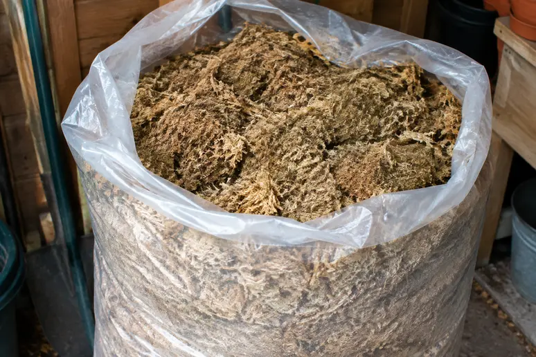 Grand sac de tourbe blonde de 250 litres stocké dans un abri de jardin