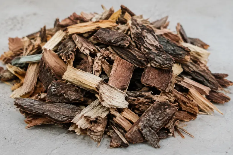 Copeaux et écorces de bois inadaptés pour un terrarium de pogona